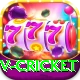 v cricket Pro Edition v3.1.3