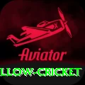 willow cricket Plus v1.7.6