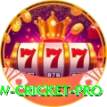 willow cricket Prime Casino App